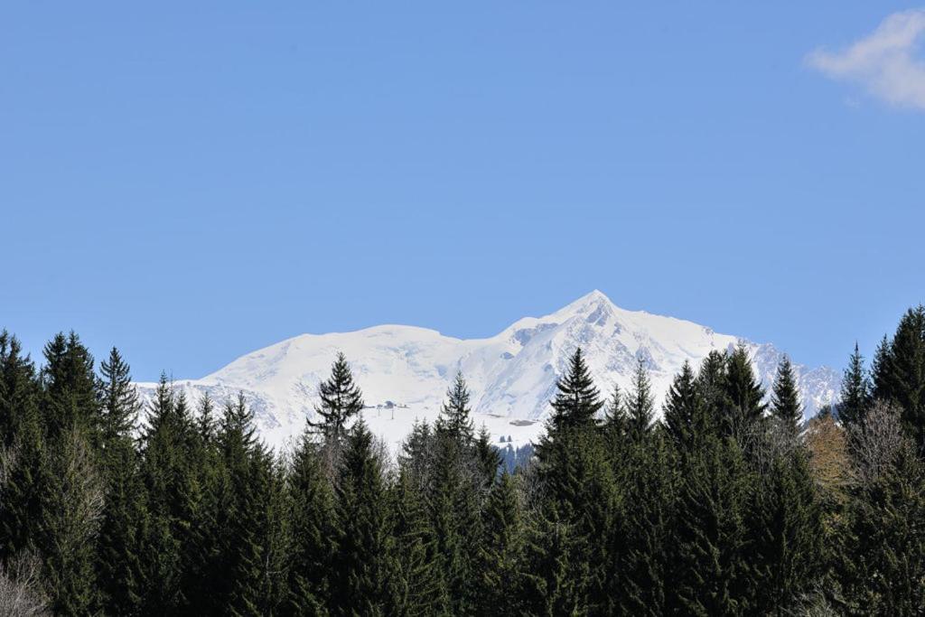 Chalet Le Prariand - Megève Exteriör bild